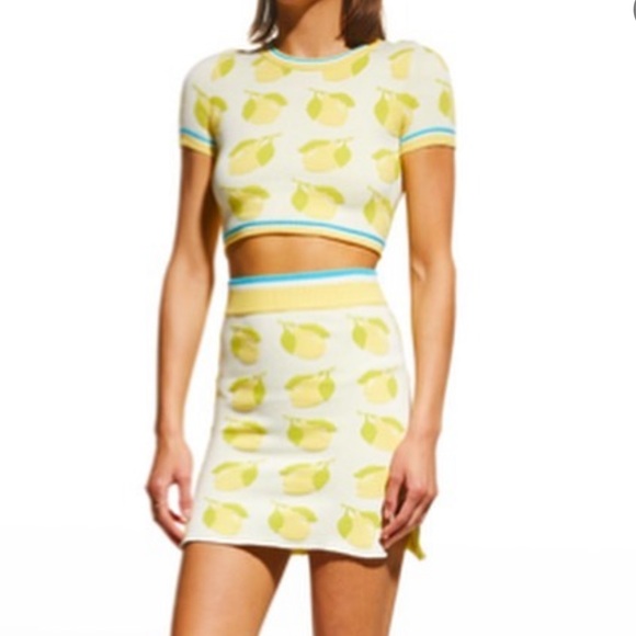 SOLID & STRIPED Tops - Solid and striped set -both pieces june top and Rosie skirt lemons print